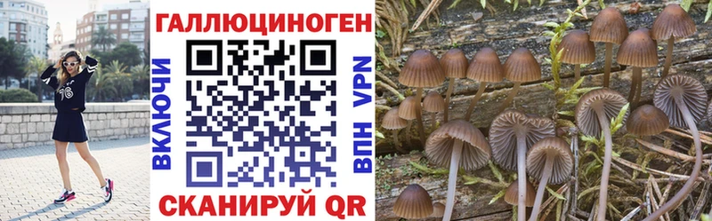 сайты даркнета Telegram хочу Гулькевичи Псилоцибиновые грибы Magic Shrooms OMG ONION